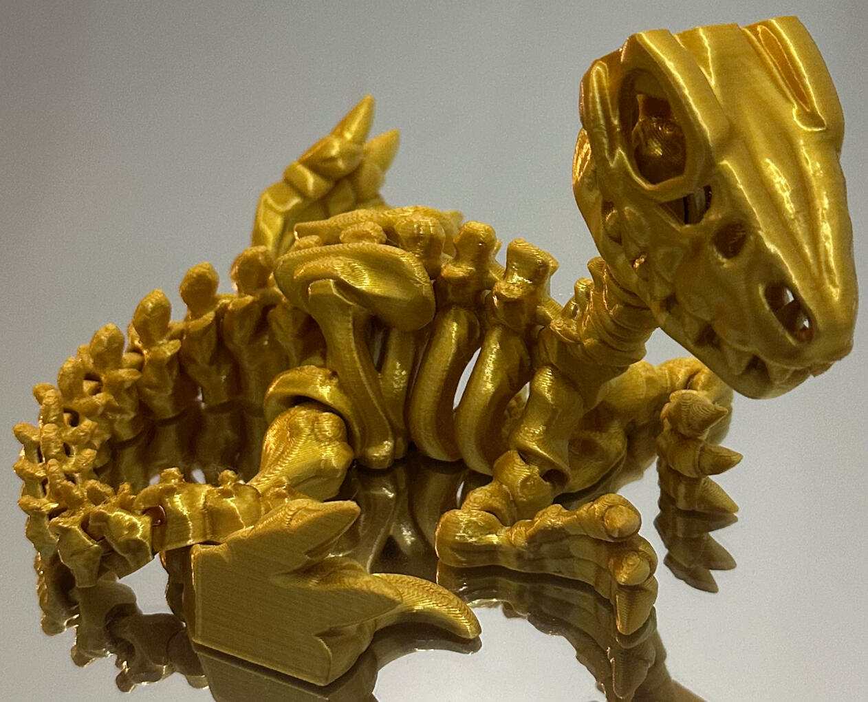 Large Skeleton Raptor